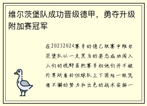 维尔茨堡队成功晋级德甲，勇夺升级附加赛冠军